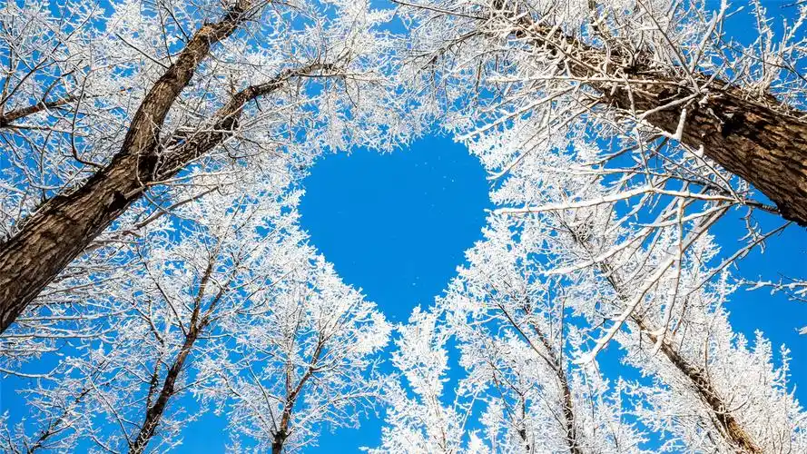 非主流爱心创意设计高清桌面壁纸下载