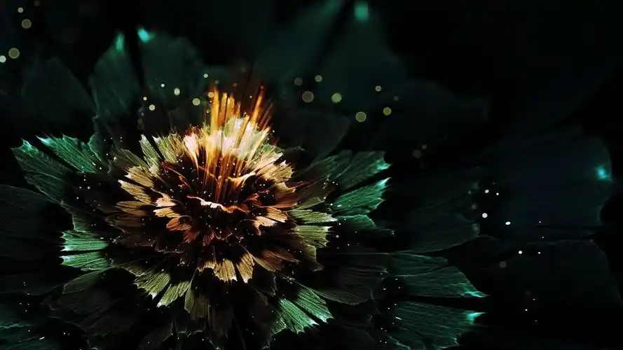 创意 相关标签 艺术创意分形 内容简介 分形艺术图形桌面壁纸