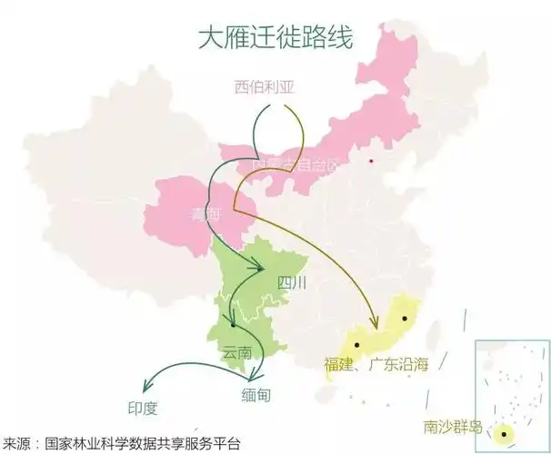 奔波是为了更好地团圆动物大迁徙