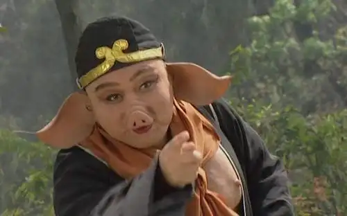 记了整个童年的猪八戒语录,西游记猪八戒搞笑语录[多图]图片1