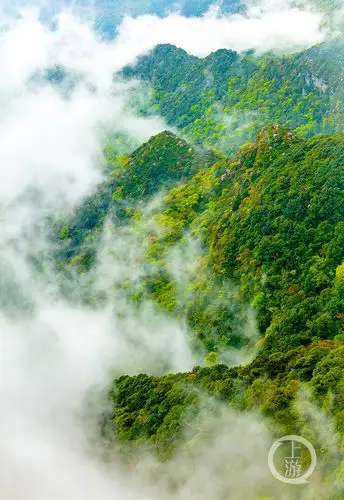 重庆南川金佛山云雾奇观似仙境