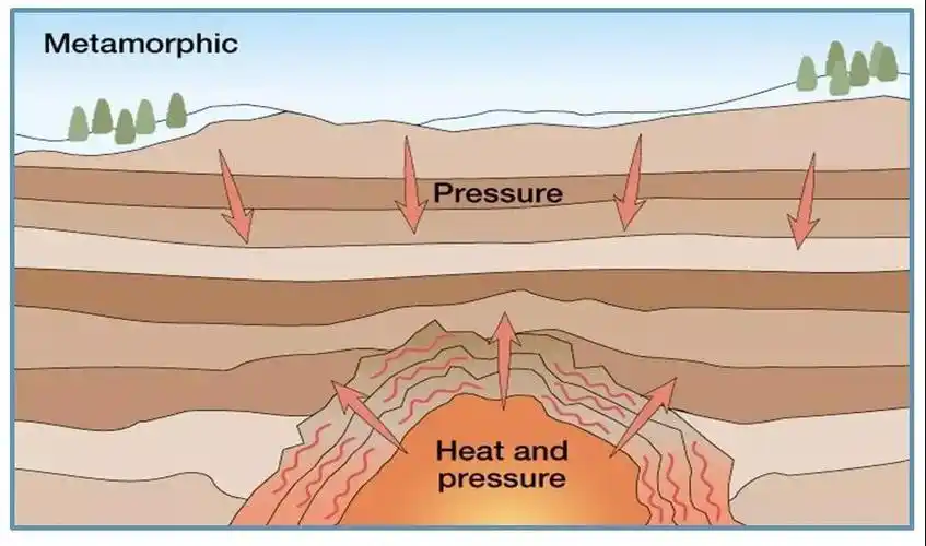 因此,变质岩往往会出现 重结晶的片理构造.