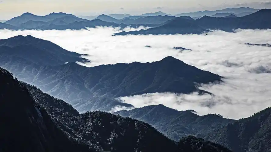 五常市老年艺术摄影学会第十四届影展 - 美篇