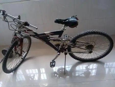 谁知道这是捷安特什么型号的车,想在网上买配件,不知道型号.