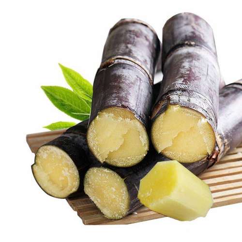 在家可以盆栽广西黑皮甘蔗种苗新鲜水果红稍其它