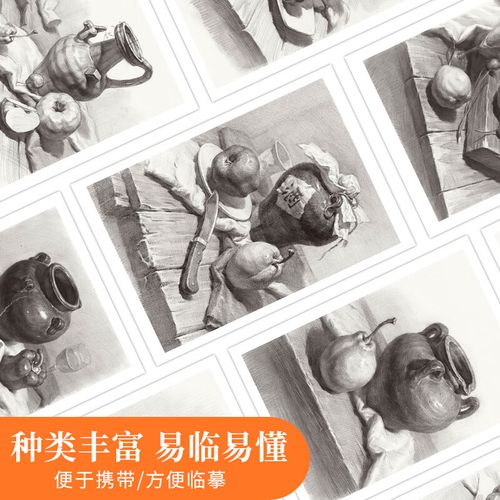 素描组合静物8开临摹卡 高清组合静物卡片单体组合照片结构步骤完整