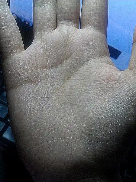 求懂的人看手纹 很乱 女孩子