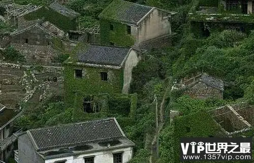 1987陕西夜狸猫事件 全村的人和动物离奇消失