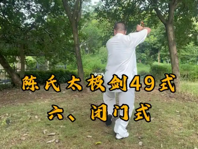 陈氏太极剑49式六闭门式