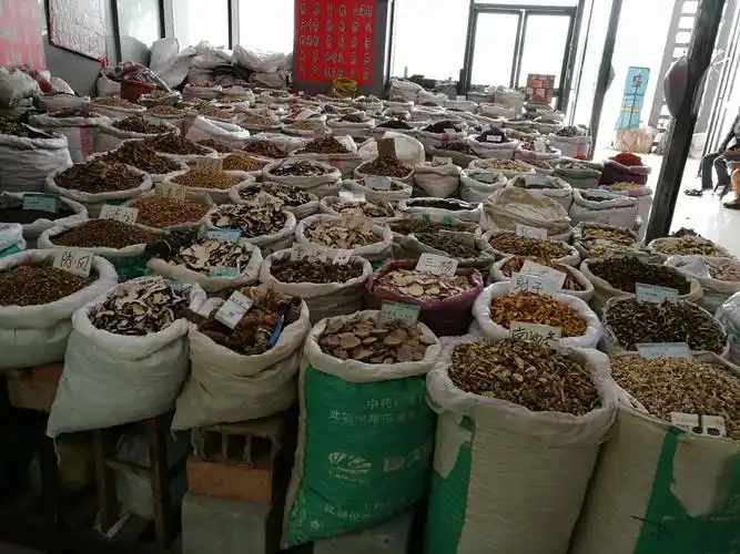 瞅准新方向,共谱产业发展新篇章——白沙镇小王村谋划中药材种植产业