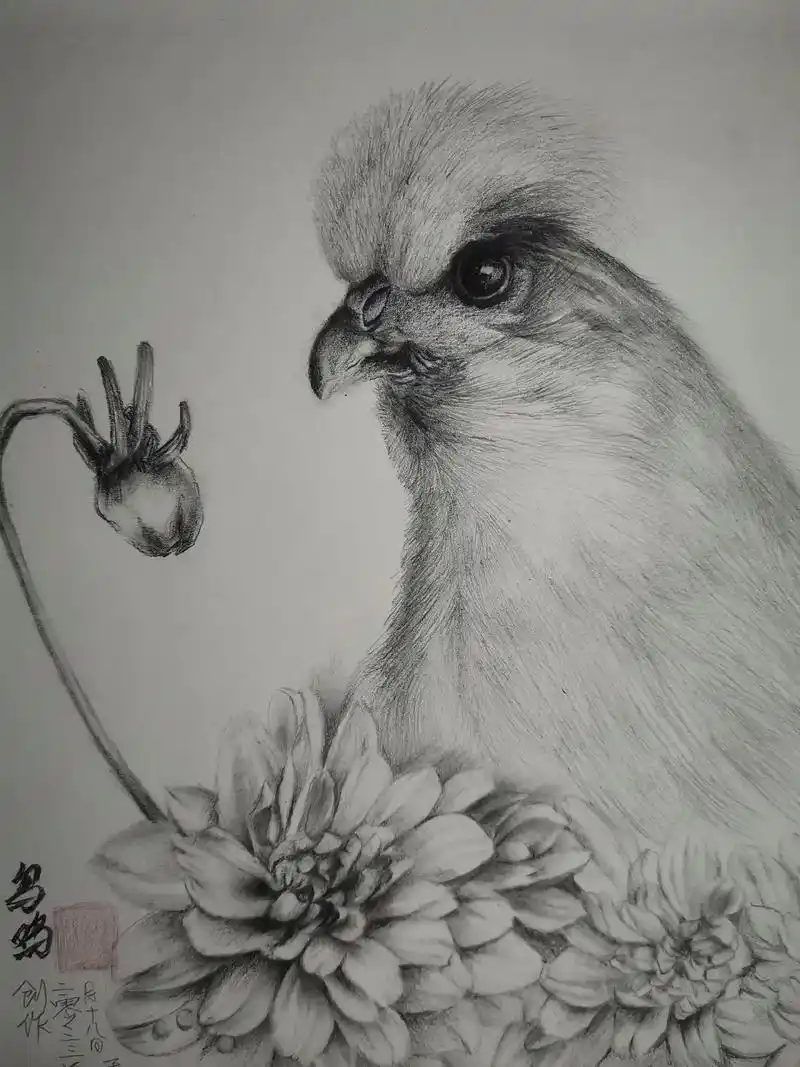 手绘素描动物《乌鸡》#瞬间的精彩留下的是永恒的怀念 #新的一 - 抖音