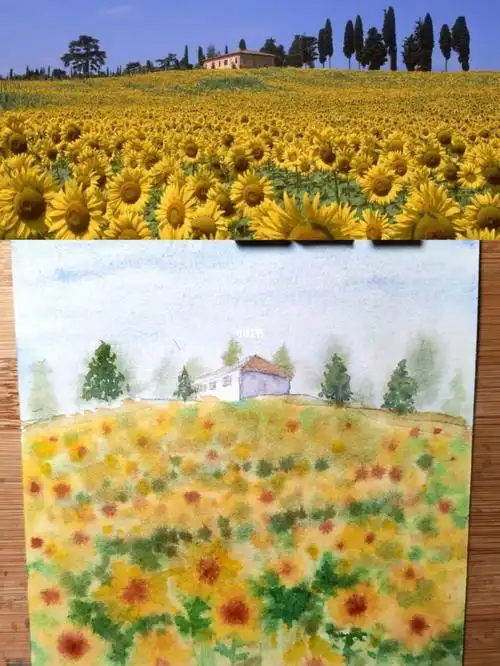 对照写生向日葵花海