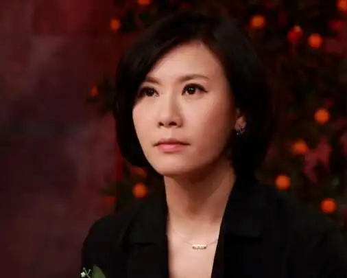 有人称海燕还是非常棒的主持人,稳重大气,电视台处理的过了.