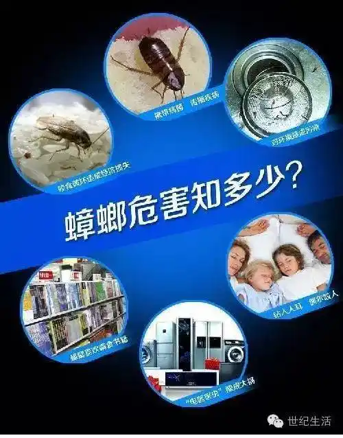 一旦发现蟑螂的迹象,必须马上行动!