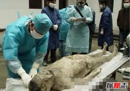 成都考古发现貂蝉墓貂蝉死后遭人玷污体内有男人精液