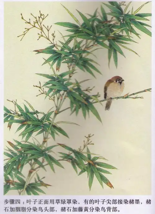 竹子画法步骤-hs8887的喜欢
