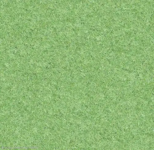 地面草坪摄影素材资料图片