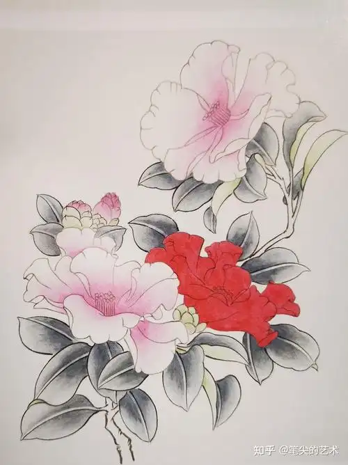 工笔山茶花设色技法教程