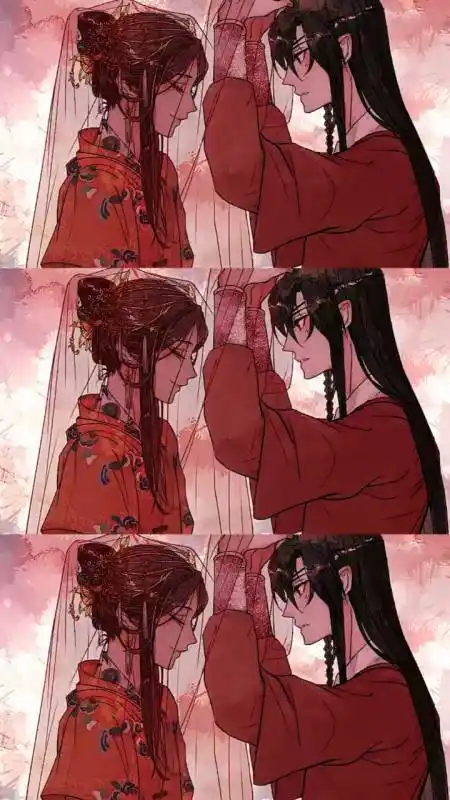 天官赐福#花城和谢怜爱了爱了原地结婚