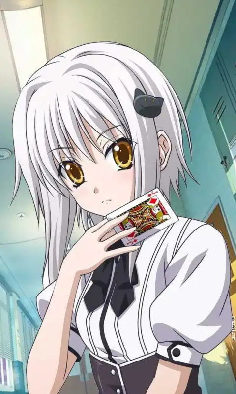 塔城白音,恶魔高中猫女塔城小猫高清福利手机壁纸图片(10)
