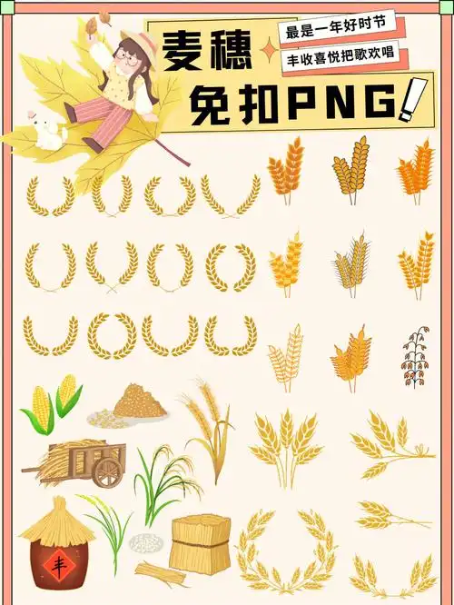 免扣元素57款手绘卡通稻谷金色麦穗秋分