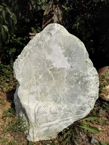 鞍山公墓/鞍山弘莲树葬公墓/鞍山树葬公墓-公墓商城-1000