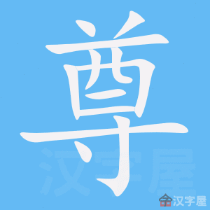 《尊》字的笔顺