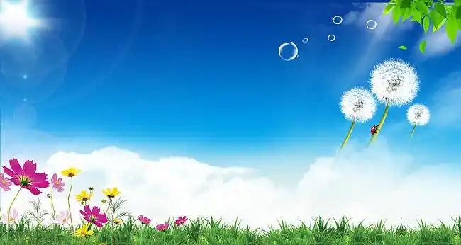 小清新 蓝天 草地 蒲公英 气泡 阳光 花朵 绿草 白云 自然 背景素材