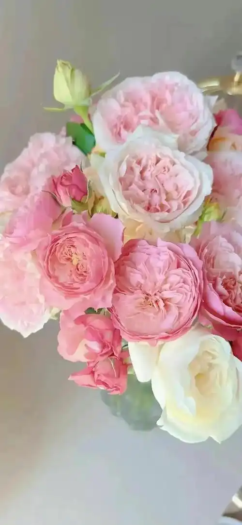 这些花卉壁纸,它们或色彩鲜艳,或清新淡雅,或繁复华丽,或简约大方,每