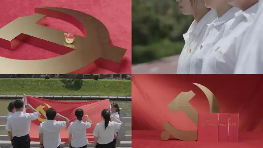 入党誓词党政入党宣誓_3840x2160_高清视频素材下载(编号:8686776)