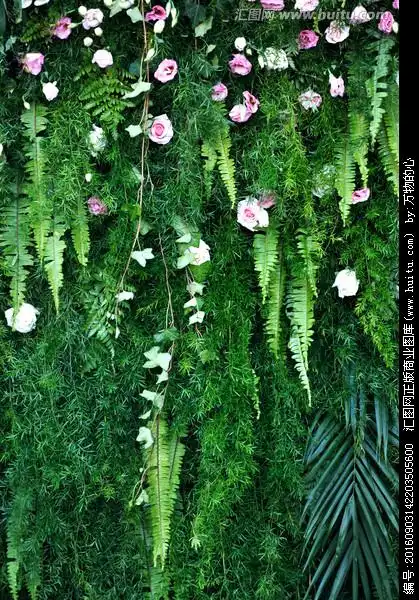 鲜花背景墙图片大全(鲜花背景图片大全 唯美)