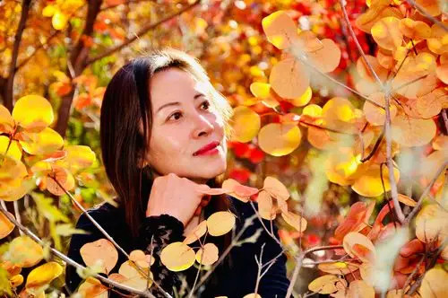 十月的风,十月的雨,把秋天的景色浸染的色彩斑斓,惊艳了时光,温柔了