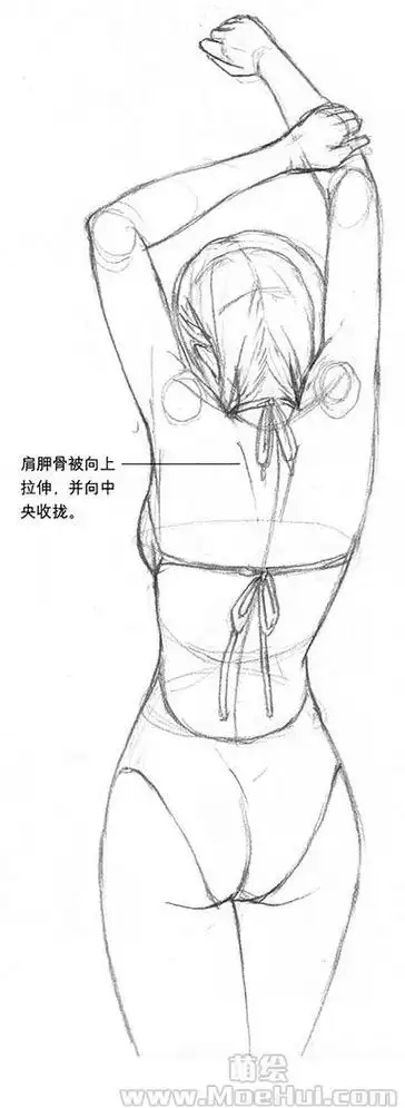 美少女漫画入门35画出有魅力的后背