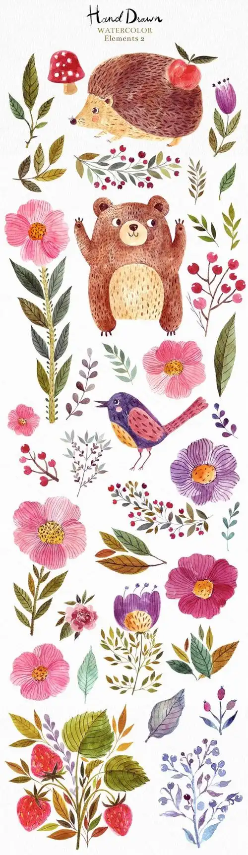 手绘水彩动物植物小清新平面设计手账贴纸素材树叶花卉森系