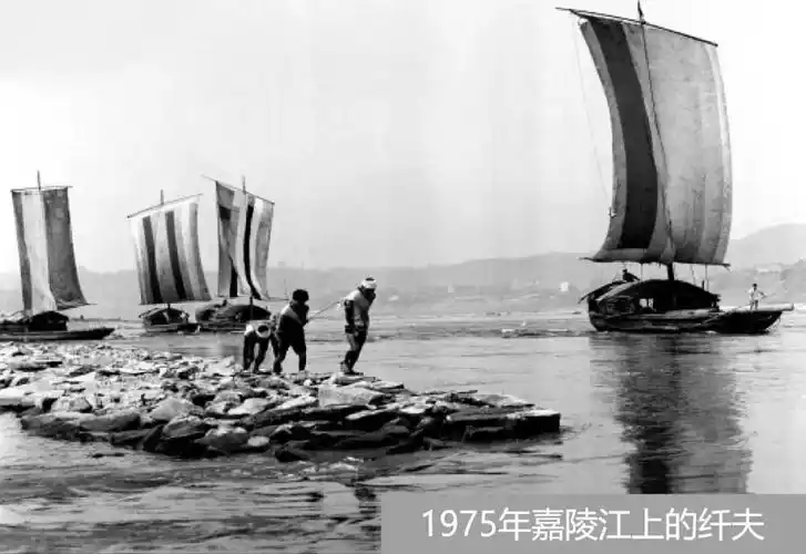 1975年嘉陵江上的船队1974年南充中渡口嘉陵江轮渡1951年川北第一医院