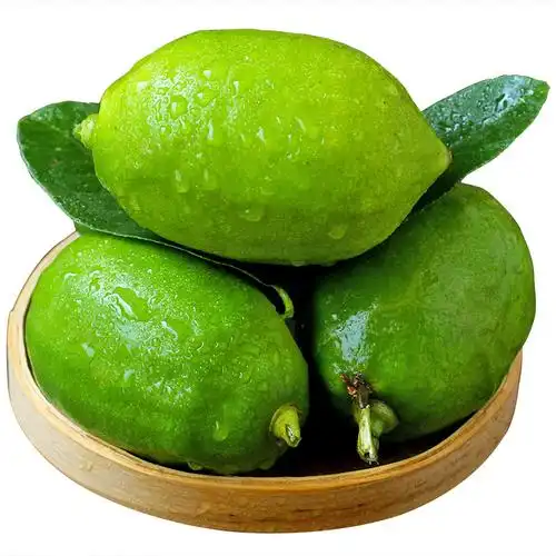 海南新鲜香水柠檬5斤精选青柠檬小青青柠一级柠檬