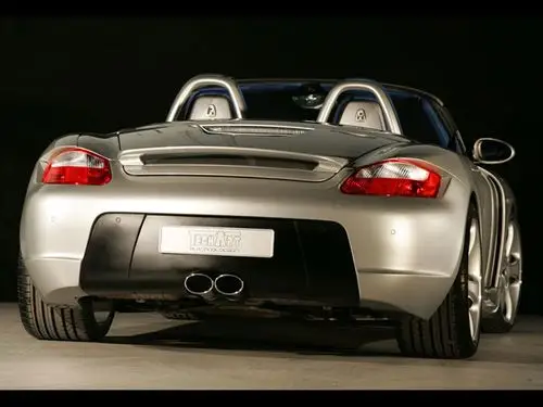 techart 987 widebody