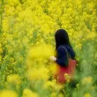 花丛中美女背影图片头像紫色点击鼠标右键下载