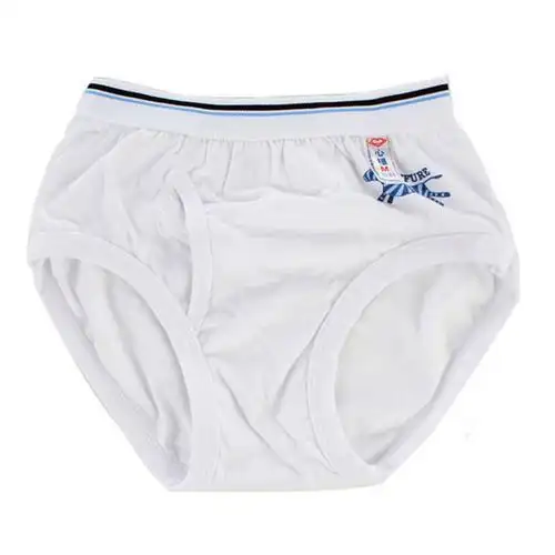 儿童纯棉男童 学生小男孩短裤心福宝宝全棉三角 2条装