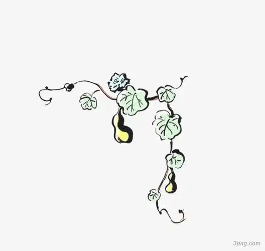 标签:边框葫芦藤边框葫芦藤边框粉笔纹理粉笔边框卡通边框金色边框