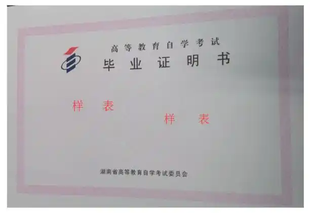 湖南毕业生自学考试毕业证和毕业生登记表补办流程_材料_进行_政务