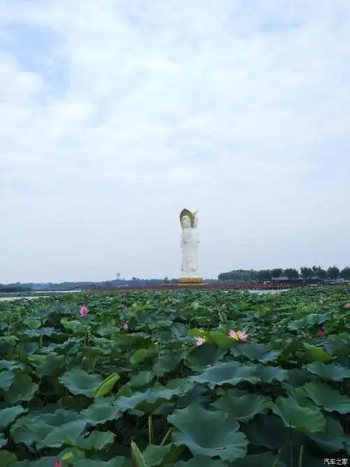 火红八月动静我们曹县八里湾一日游