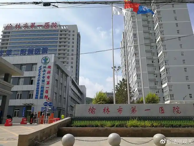 关于榆林一院"产妇马茸茸坠楼事件有关情况的说明"我们家属有话说