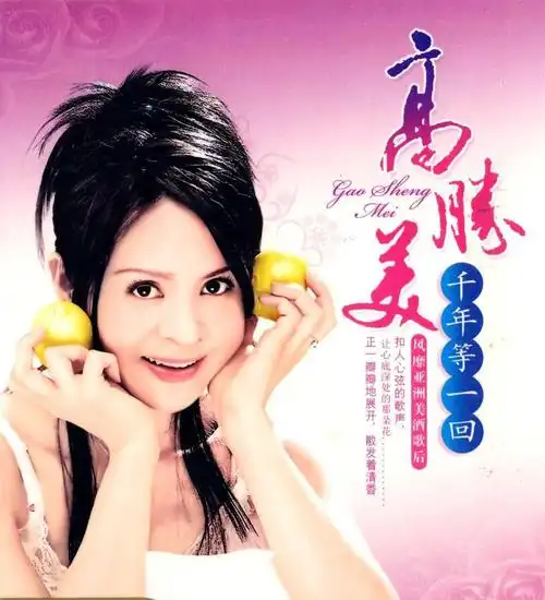高胜美个人简历资料(高胜美个人感情经历 )_娱乐_天鹮网