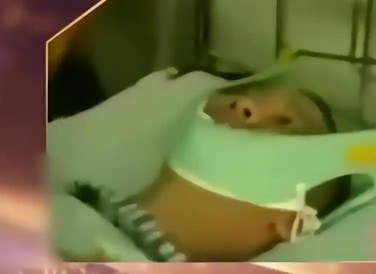 事实证明,定居泰国,被指又老又丑的瞿颖,已经走上了另一条道路