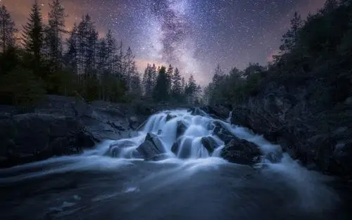 壁纸 夜晚,河流,树木,星空,星星 1920x1200 hd 高清壁纸, 图片, 照片