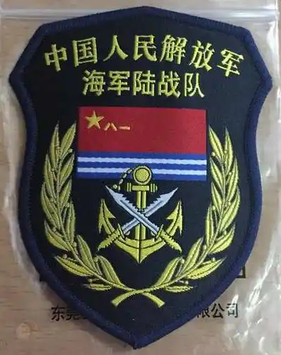 海军胸标图案为银色铁锚,五角星和海浪变形组成,海浪变形波纹间填海