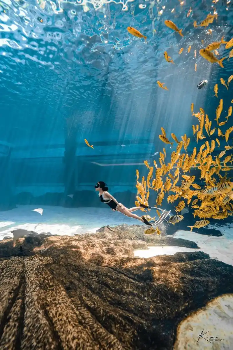 三亚小黄鱼馆水下拍摄