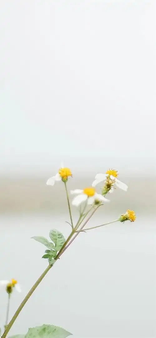 1080_2340竖版 竖屏