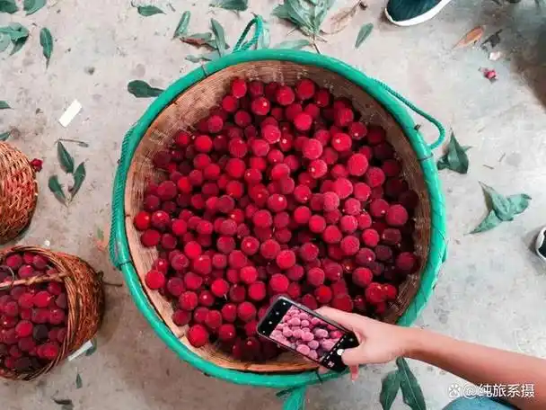 即将迎来颜值巅峰!6月美出天际的目的地,正适合来场久违的旅行